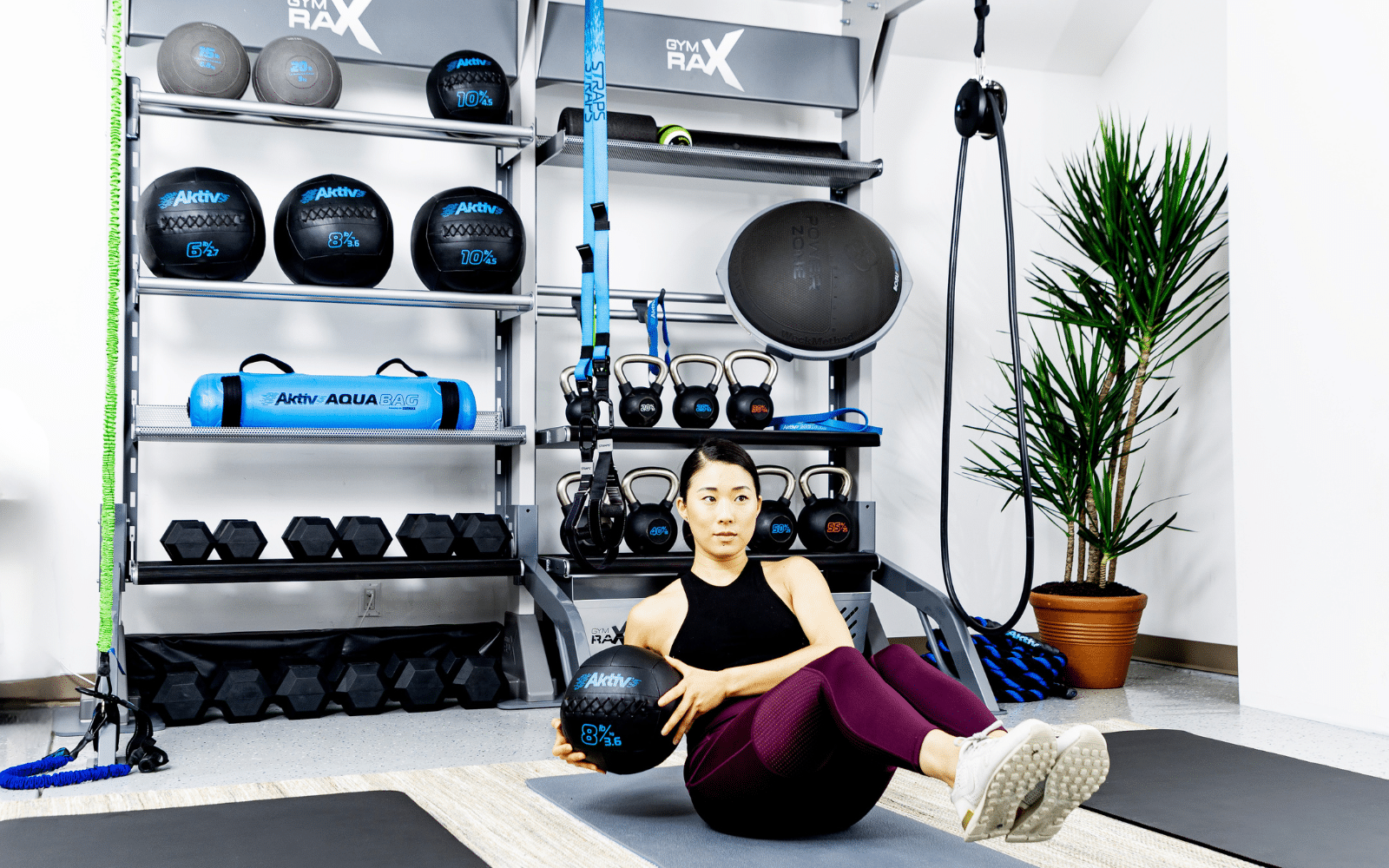 aktiv fitness accessories and gym rax storage